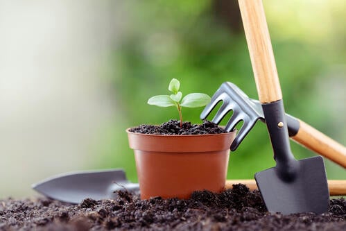 gardening is in, gardening and millennials, garden media group, gardening, planting, working in the garden, gardening is cool, millennials in the garden