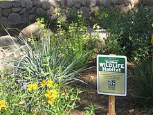 certified wildlife habitat