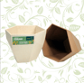 Oasis Forage Geo Pots