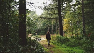 Trend 2 Wellness Hotspots - Forest Bathing.jpg