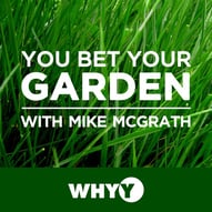 The Best Gardening Podcasts 2018