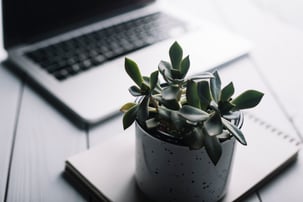 laptop-notepad-composition-desk