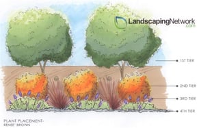 plant-tiering-landscaping-network_2676.jpg